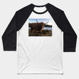 Scottish Highland Cattle Cow 2240 Baseball T-Shirt